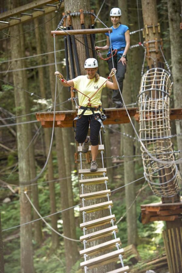 Sky Course (incl. Ziplines) SkyTrek Adventure Park Revelstoke